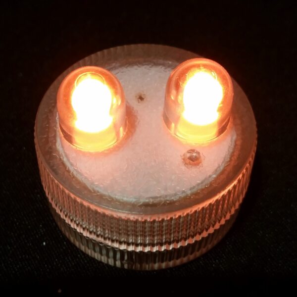 Submersible LED - 2 Bulbs - Orange