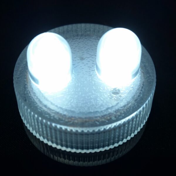 Submersible Led Lights