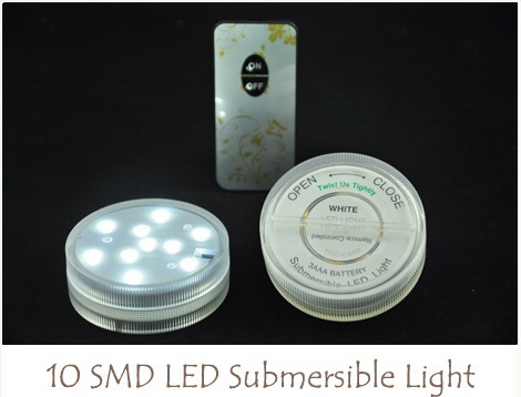 Submersible LED - 10  - Clear White