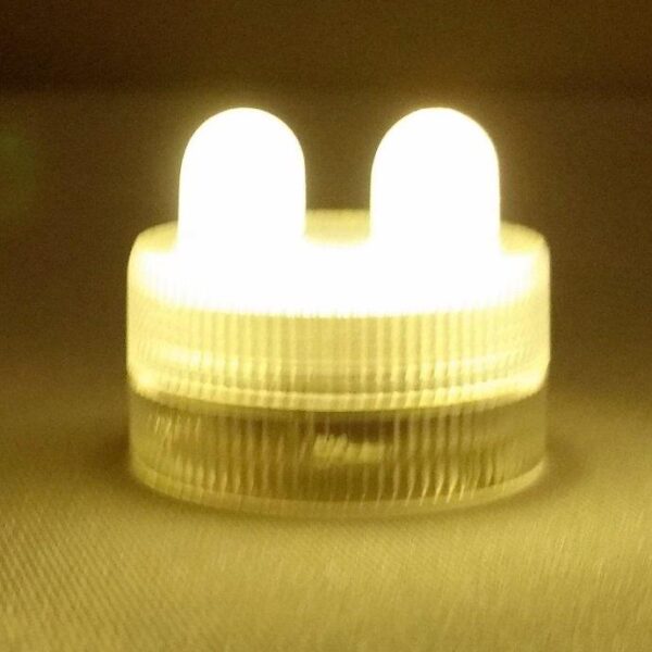 Submersible LED - 2 Bulbs - Warm White